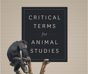 cover of book 'critical terms for animal studies'